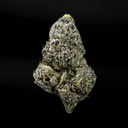 Lemon Cherry Gelato -- Lucky Stars.jpg