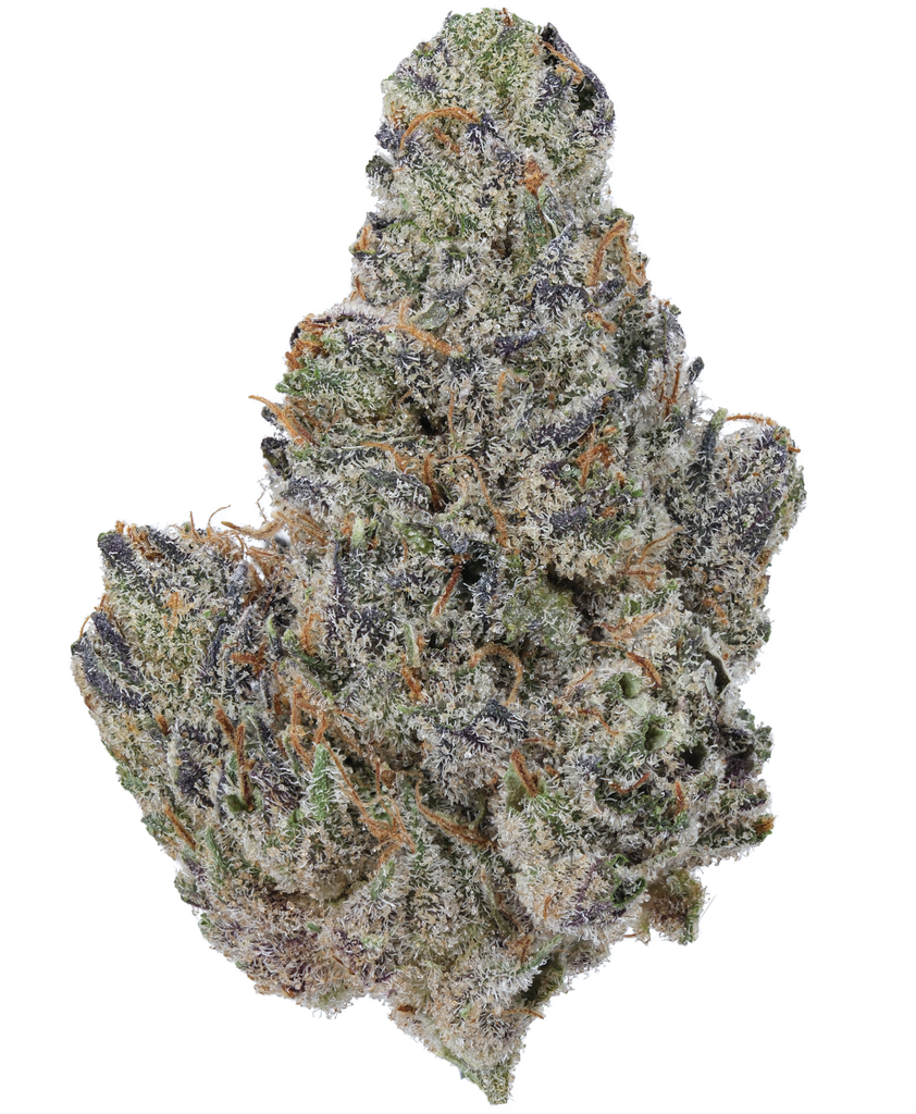 Swamp Gas