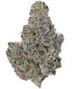 Swamp Gas