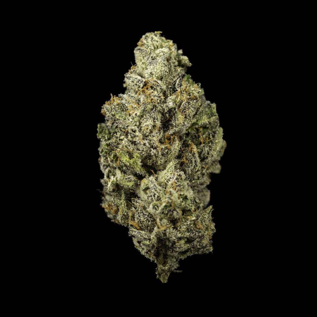 Northern Lights--LaunchPadPunch.jpg