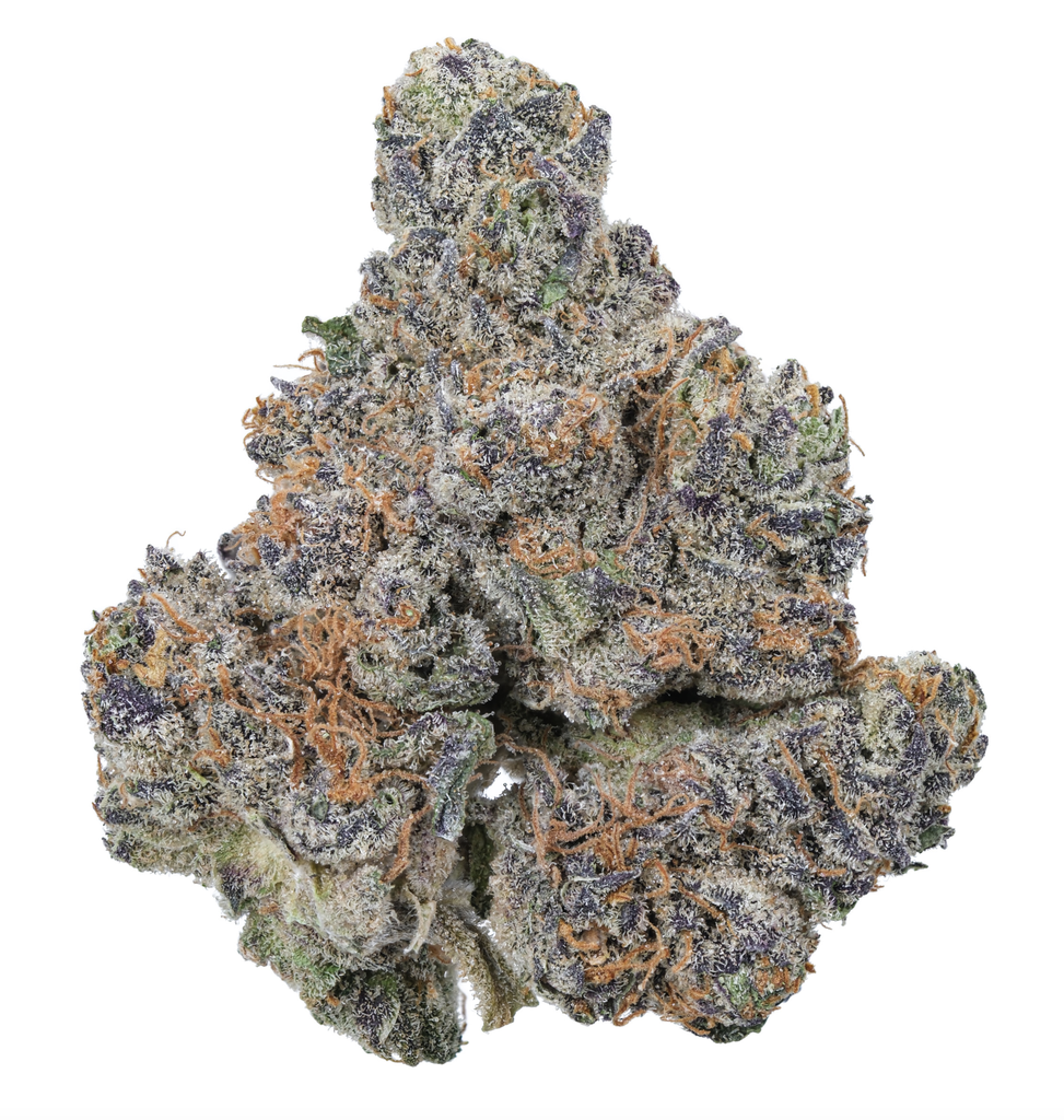Halley's Haze