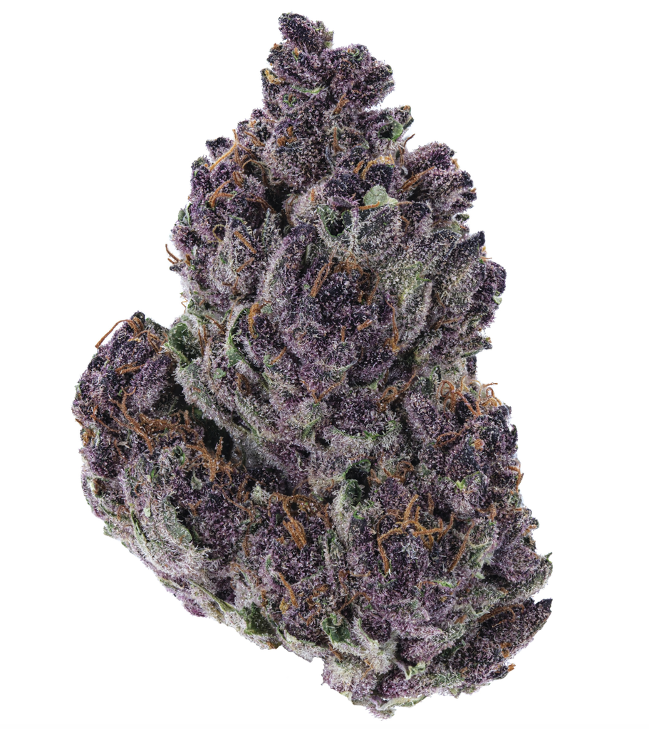 Cosmonaut Cough