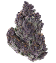 Cosmonaut Cough