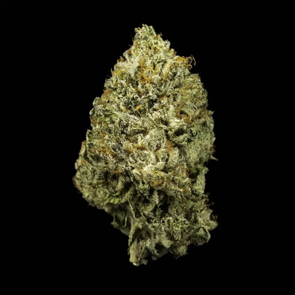 G77-Alien OG.webp