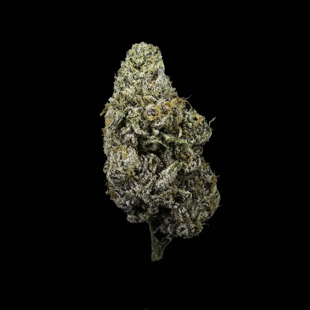 Lemon Kush--Celestial Citrus.webp