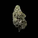 Lemon Kush--Celestial Citrus.webp