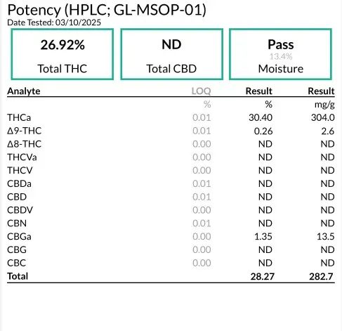 Rocket Rise Potency.webp