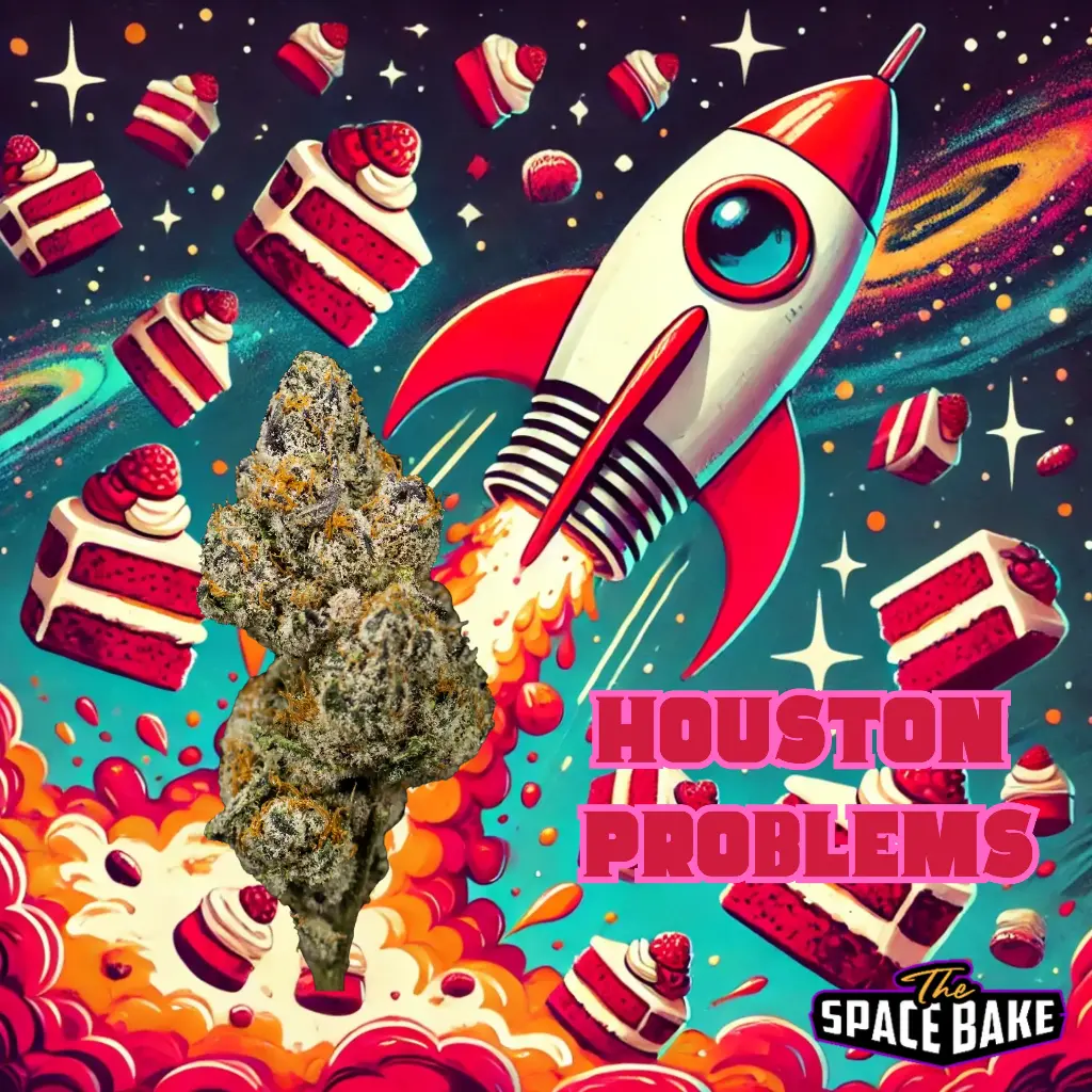 Houston Problems