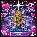 Spaced XXX